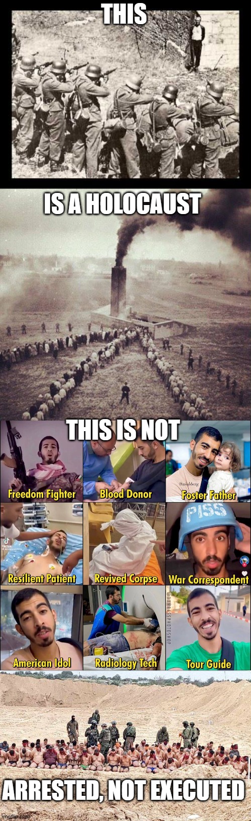 Educational Meme for Politics mods, they are really struggling with basic facts. | THIS; IS A HOLOCAUST; THIS IS NOT; ARRESTED, NOT EXECUTED | image tagged in cancel culture,holocaust,mr pallywood | made w/ Imgflip meme maker