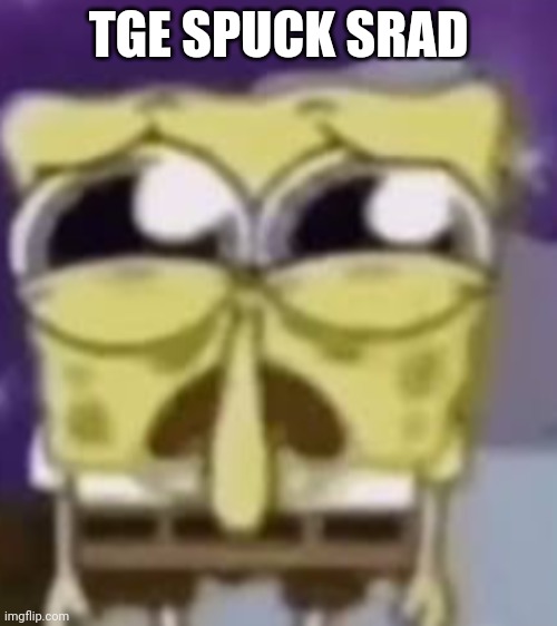 The | TGE SPUCK SRAD | image tagged in the skrunkly bunky | made w/ Imgflip meme maker