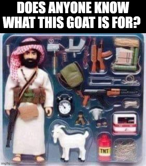 (⊙_⊙;) | DOES ANYONE KNOW WHAT THIS GOAT IS FOR? | image tagged in toys | made w/ Imgflip meme maker