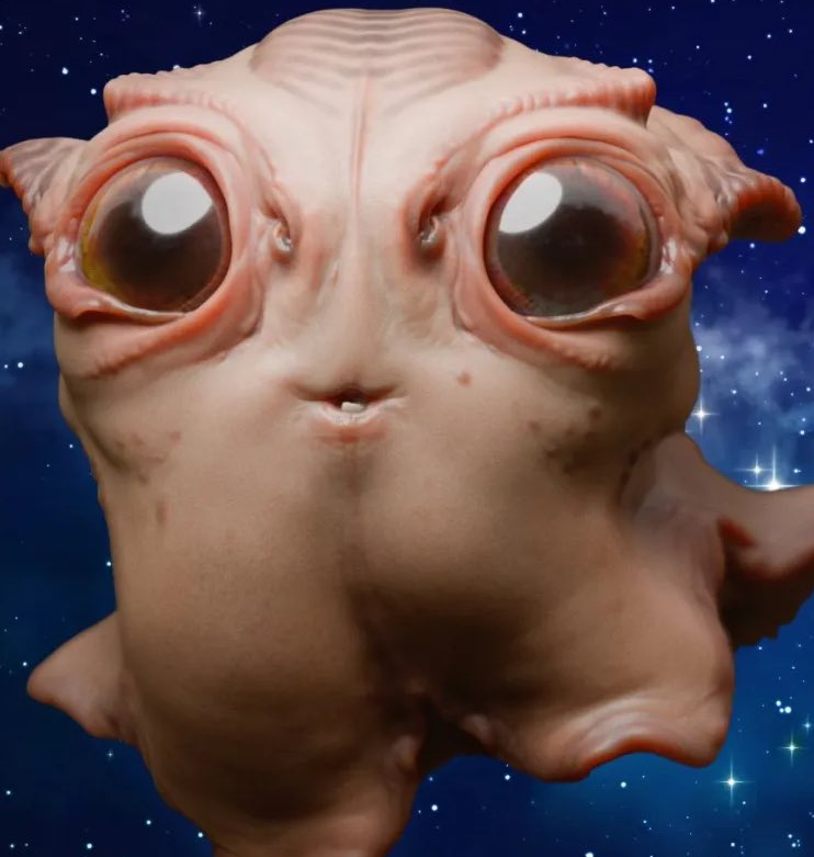 Space Puri Blank Meme Template