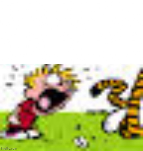 Calvin And Hobbes "You can't DO THAT!" | image tagged in calvin and hobbes you can't do that | made w/ Imgflip meme maker