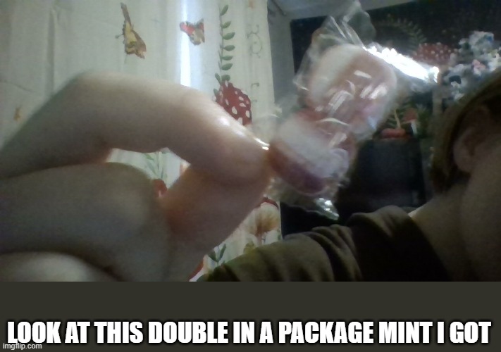 hello my children | LOOK AT THIS DOUBLE IN A PACKAGE MINT I GOT | made w/ Imgflip meme maker