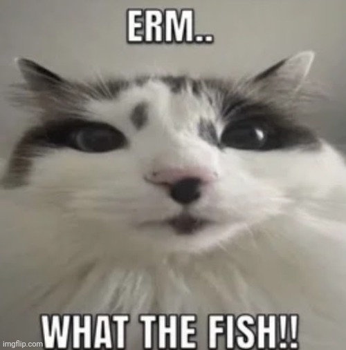 https://imgflip.com/i/8a2w4x?nerp=1703367953#com29117622 | image tagged in erm what the fish | made w/ Imgflip meme maker