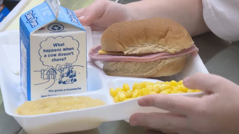 High Quality School Lunch Blank Meme Template