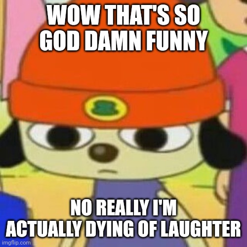 PaRappa Face | WOW THAT'S SO GOD DAMN FUNNY NO REALLY I'M ACTUALLY DYING OF LAUGHTER | image tagged in parappa face | made w/ Imgflip meme maker