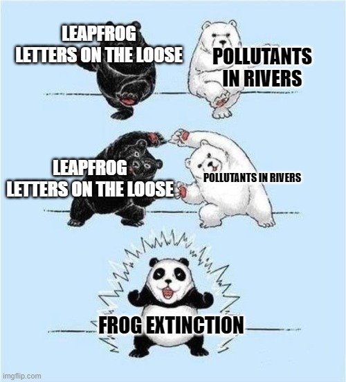 Why frogs suffer | LEAPFROG LETTERS ON THE LOOSE; POLLUTANTS IN RIVERS; LEAPFROG LETTERS ON THE LOOSE; POLLUTANTS IN RIVERS; FROG EXTINCTION | image tagged in panda fusion | made w/ Imgflip meme maker