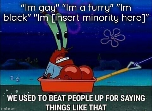 Mr. Krabs We used to beat people up for saying things like that | "Im gay" "Im a furry" "Im black" "Im [insert minority here]" | image tagged in mr krabs we used to beat people up for saying things like that | made w/ Imgflip meme maker