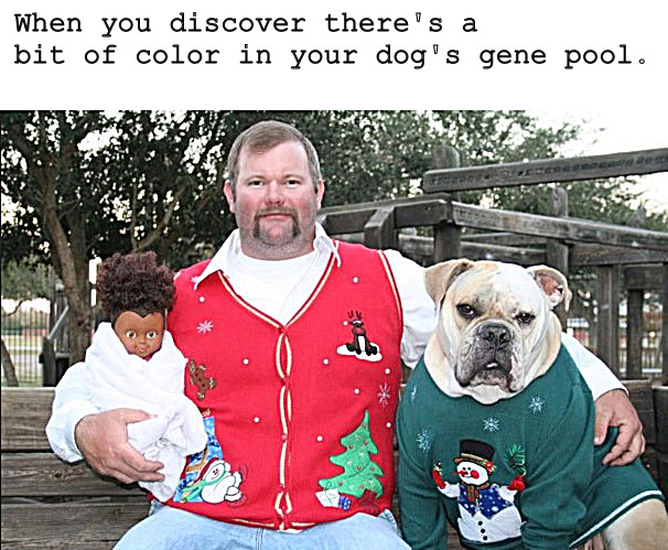 a little backwoods living | When you discover there's a bit of color in your dog's gene pool. | image tagged in memes,dark humor | made w/ Imgflip meme maker