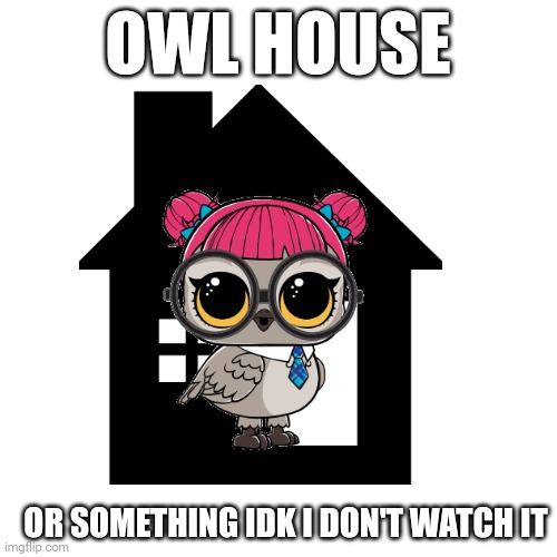 I really don't know what it is | OWL HOUSE; OR SOMETHING IDK I DON'T WATCH IT | image tagged in the owl house | made w/ Imgflip meme maker
