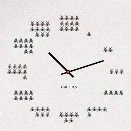 time flies | made w/ Imgflip meme maker