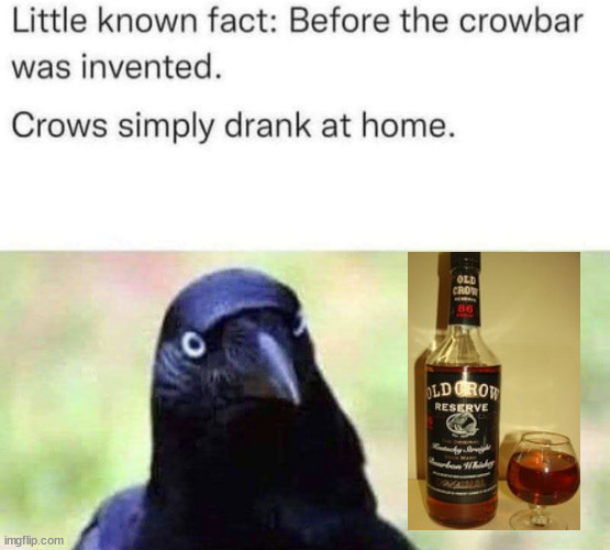 And of course their favorite is Old Crow... | image tagged in eye roll,old crow,crow bar | made w/ Imgflip meme maker