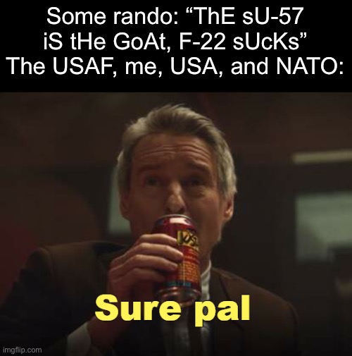 What’s that bumblebee on the radar going at Mach speed for? | Some rando: “ThE sU-57 iS tHe GoAt, F-22 sUcKs”
The USAF, me, USA, and NATO: | image tagged in mobius sure pal | made w/ Imgflip meme maker
