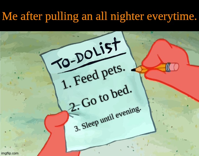 Owl symptom. | Me after pulling an all nighter everytime. 1. Feed pets. 2. Go to bed. 3. Sleep until evening. | image tagged in patrick to do list actually blank,nice,not sleepy at all | made w/ Imgflip meme maker