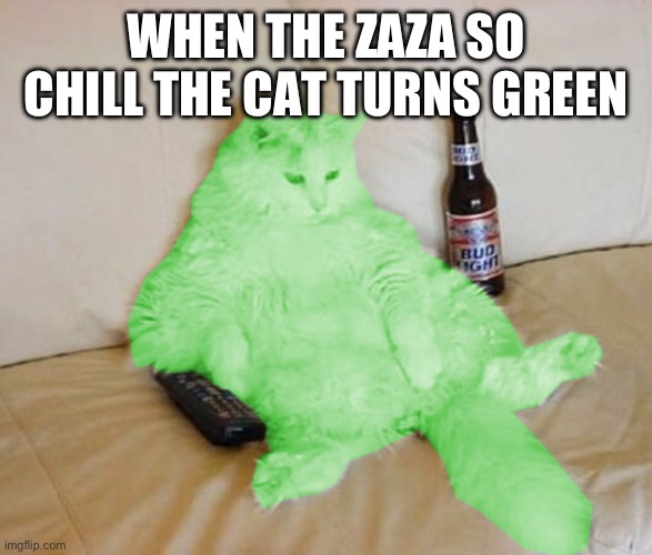 Woah dude the catzzz cgreen mayun | WHEN THE ZAZA SO CHILL THE CAT TURNS GREEN | image tagged in raycat chillin',fresh memes,funny,memes | made w/ Imgflip meme maker