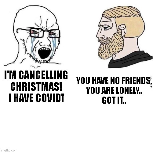 cancelled christmas | YOU HAVE NO FRIENDS,
YOU ARE LONELY..
GOT IT.. I'M CANCELLING
CHRISTMAS!
I HAVE COVID! | image tagged in memes | made w/ Imgflip meme maker