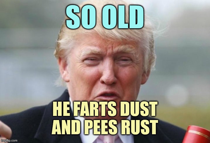 Trump | SO OLD; HE FARTS DUST
AND PEES RUST | image tagged in trump crybaby,memes | made w/ Imgflip meme maker