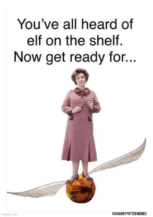 Witch, of course | image tagged in witch,hogwarts,snitch | made w/ Imgflip meme maker