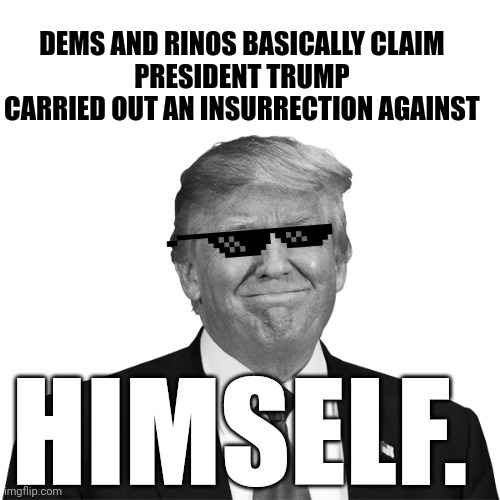 The President determines whether or not an insurrection is taking place. | DEMS AND RINOS BASICALLY CLAIM 
PRESIDENT TRUMP 
CARRIED OUT AN INSURRECTION AGAINST; HIMSELF. | image tagged in donald trump,democrats,republicans,rino | made w/ Imgflip meme maker