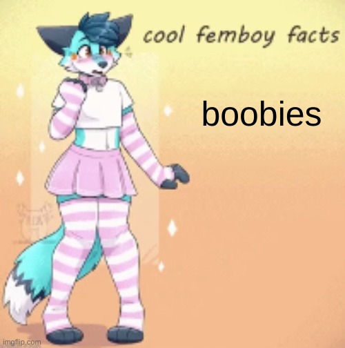 cool femboy facts | boobies | image tagged in cool femboy facts | made w/ Imgflip meme maker