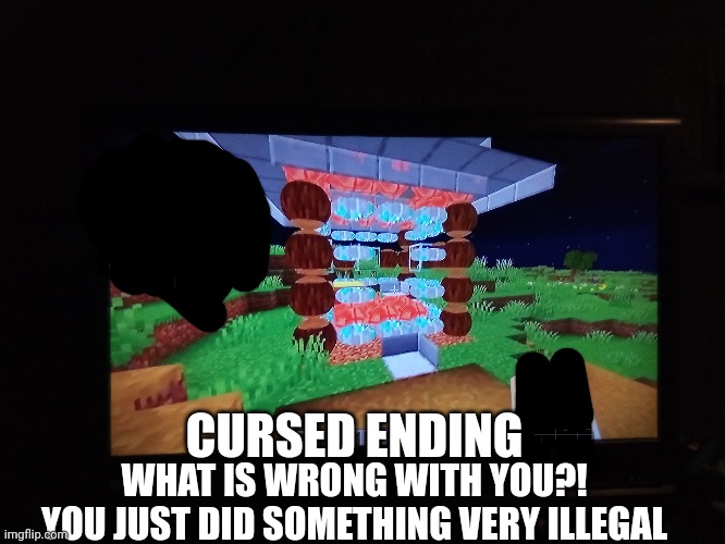 Minecraft cursed ending | CURSED ENDING; WHAT IS WRONG WITH YOU?! YOU JUST DID SOMETHING VERY ILLEGAL | made w/ Imgflip meme maker