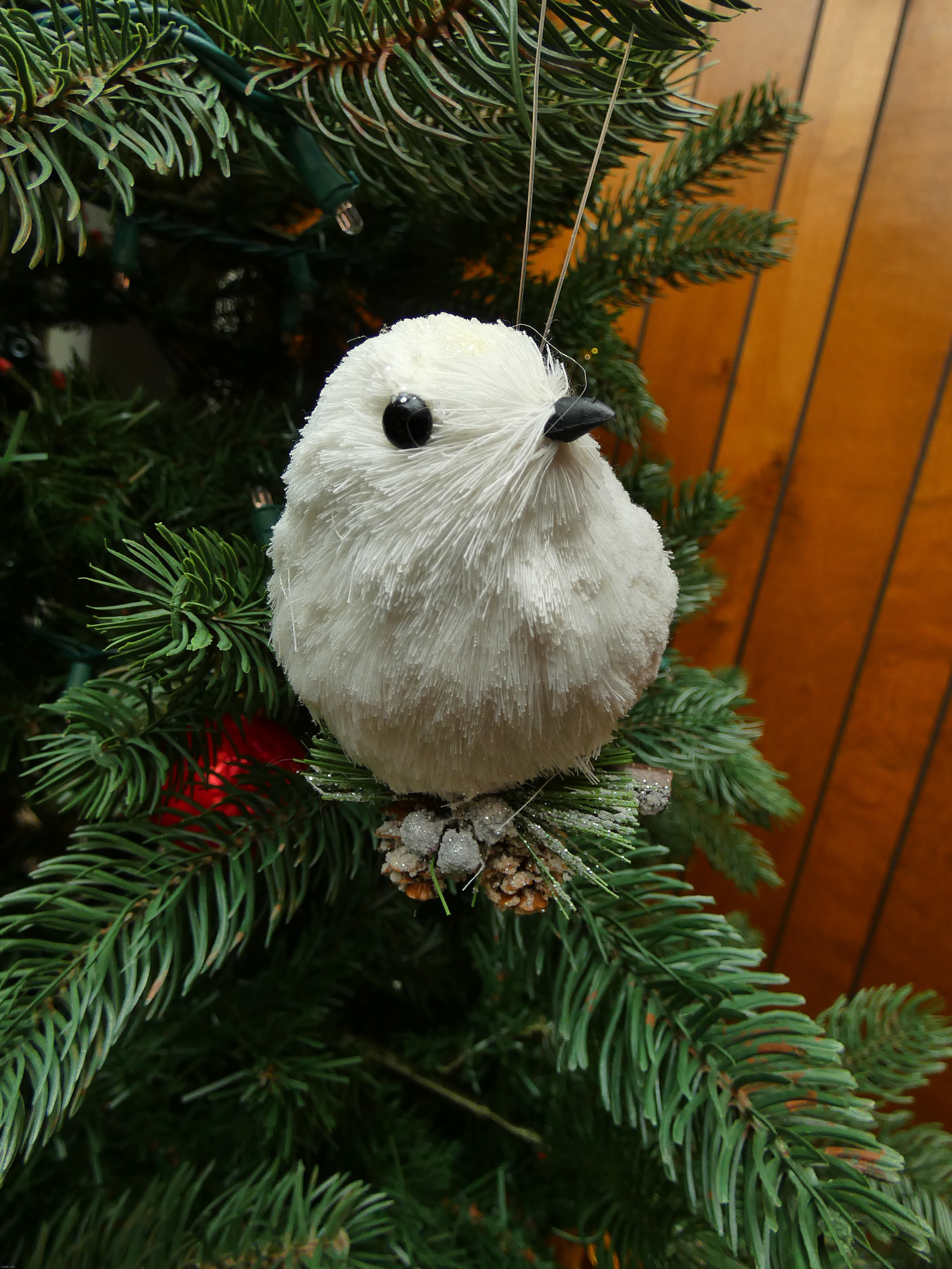 This is my favorite ornament on our Christmas tree :) I bought this little white bird in a Michaels back in 2017...7 years ago! | image tagged in share your own photos,photography,christmas,ornaments | made w/ Imgflip meme maker