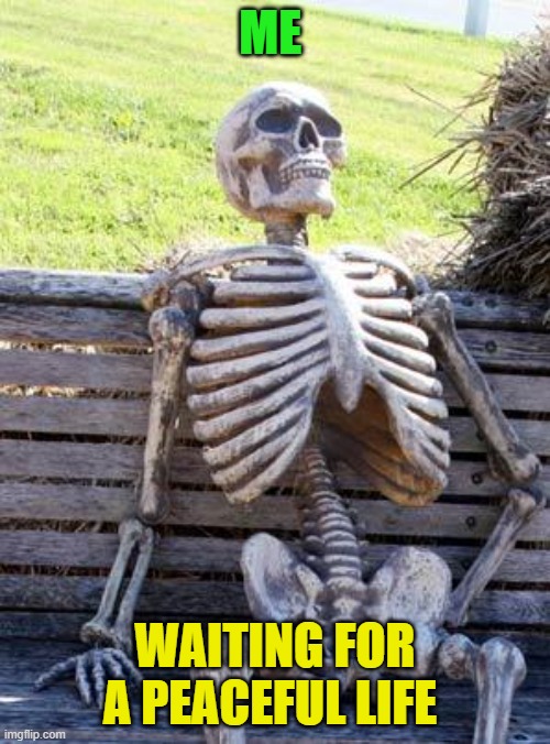 wait for peace in life | ME; WAITING FOR A PEACEFUL LIFE | image tagged in memes,life,problems,lol,funny memes | made w/ Imgflip meme maker