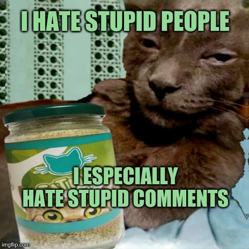 Shit Poster 4 Lyfe | I HATE STUPID PEOPLE; I ESPECIALLY HATE STUPID COMMENTS | image tagged in ship osta 4 lyfe,stupid people,special kind of stupid,human stupidity,sam elliott special kind of stupid,depression | made w/ Imgflip meme maker
