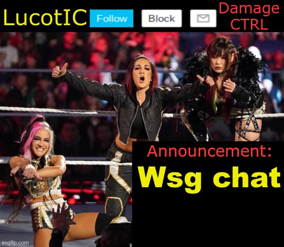 . | Wsg chat | image tagged in lucotic's damage ctrl announcement temp | made w/ Imgflip meme maker