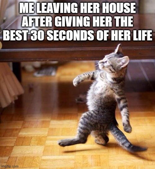 I am giga | ME LEAVING HER HOUSE AFTER GIVING HER THE BEST 30 SECONDS OF HER LIFE | image tagged in swag cat | made w/ Imgflip meme maker