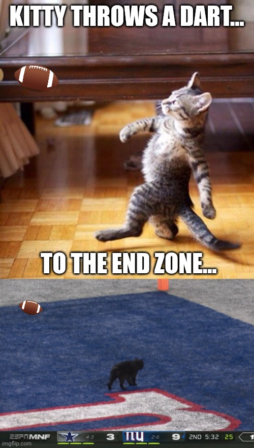 We should start the kitty football league | KITTY THROWS A DART... TO THE END ZONE... | image tagged in swag cat,cat monday night football | made w/ Imgflip meme maker