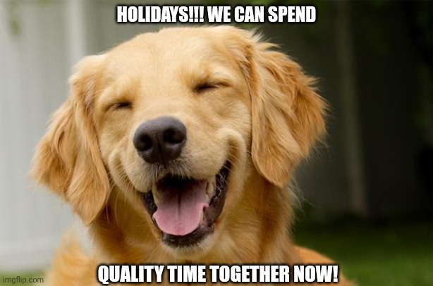 Happy Dog | HOLIDAYS!!! WE CAN SPEND; QUALITY TIME TOGETHER NOW! | image tagged in happy dog | made w/ Imgflip meme maker