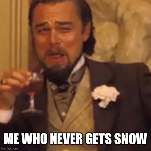 Leonardo DiCaprio Lauging | ME WHO NEVER GETS SNOW | image tagged in leonardo dicaprio lauging | made w/ Imgflip meme maker