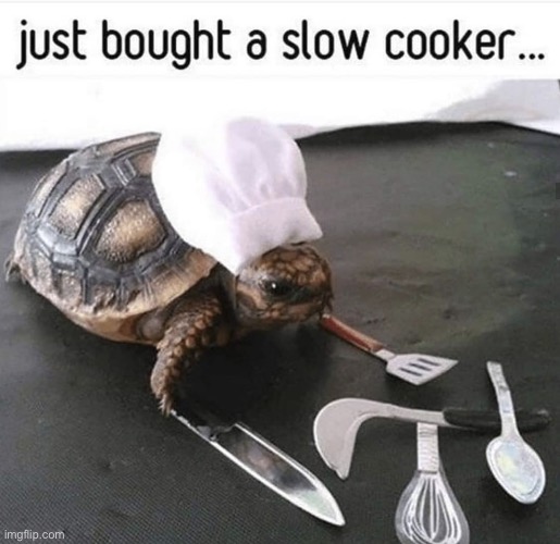 slowness guaranteed | image tagged in funny,meme,slow cooker,turtle | made w/ Imgflip meme maker