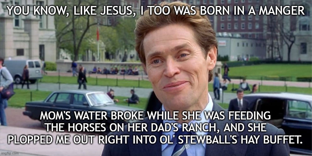 Born In A Manger | YOU KNOW, LIKE JESUS, I TOO WAS BORN IN A MANGER; MOM'S WATER BROKE WHILE SHE WAS FEEDING THE HORSES ON HER DAD'S RANCH, AND SHE PLOPPED ME OUT RIGHT INTO OL' STEWBALL'S HAY BUFFET. | image tagged in you know i'm something of a scientist myself | made w/ Imgflip meme maker