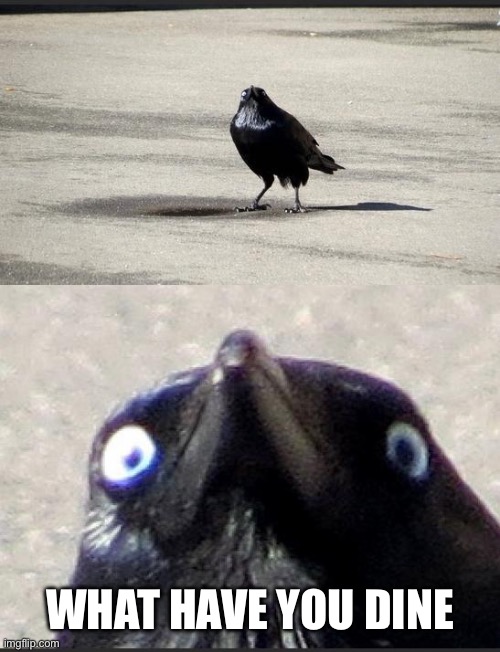 insanity crow | WHAT HAVE YOU DONE | image tagged in insanity crow | made w/ Imgflip meme maker