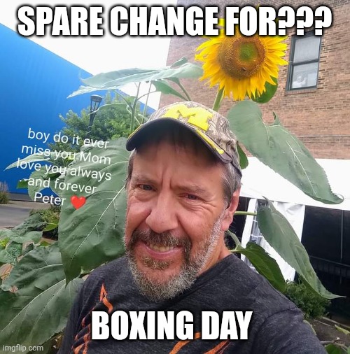 Spare Change For?? | SPARE CHANGE FOR??? BOXING DAY | image tagged in peter plant,boxing day,funny memes,begging cat | made w/ Imgflip meme maker