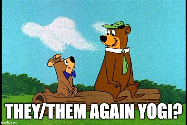 Not a smidge of miss gendering | THEY/THEM AGAIN YOGI? | image tagged in pronouns,pronouns sheet,liberal logic,yogi bear,they had us in the first half,fjb | made w/ Imgflip meme maker
