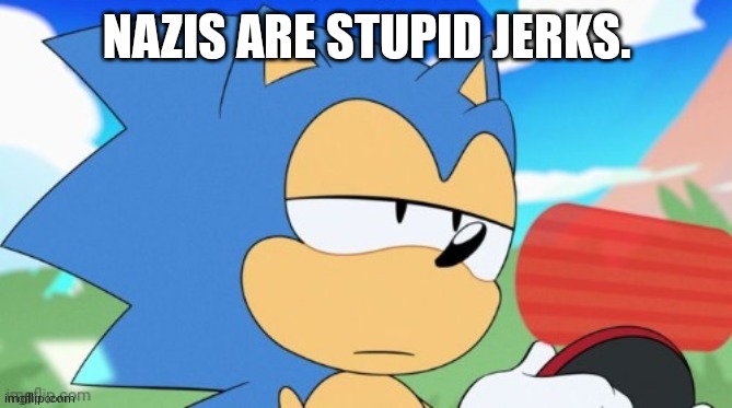NAZIS ARE STUPID JERKS. | image tagged in sonic unamused | made w/ Imgflip meme maker