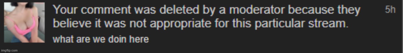 the boob stream mods trying to cover up the emosnake incident? my comment got deleted. | made w/ Imgflip meme maker