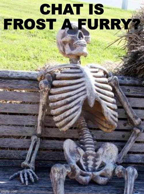 Waiting Skeleton Meme | CHAT IS FROST A FURRY? | image tagged in memes,waiting skeleton | made w/ Imgflip meme maker