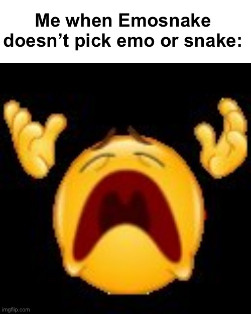 Crying Emoji | Me when Emosnake doesn’t pick emo or snake: | image tagged in crying emoji | made w/ Imgflip meme maker