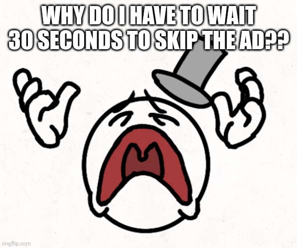 Yt what the hell | WHY DO I HAVE TO WAIT 30 SECONDS TO SKIP THE AD?? | image tagged in augh hatchet | made w/ Imgflip meme maker