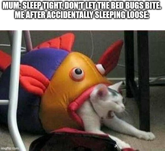 At least it's not the monster under the bed. | MUM: SLEEP TIGHT, DON'T LET THE BED BUGS BITE.
ME AFTER ACCIDENTALLY SLEEPING LOOSE: | image tagged in fish eating cat | made w/ Imgflip meme maker