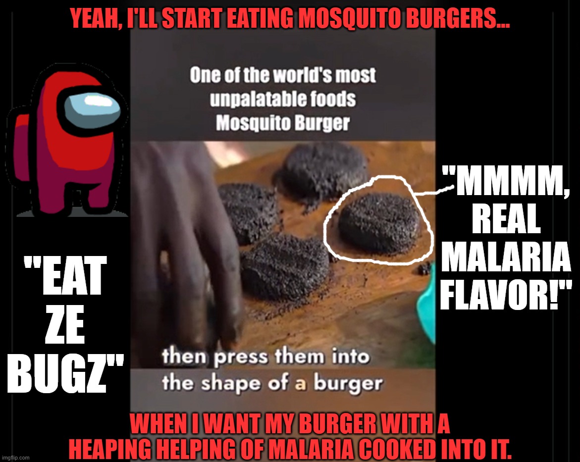 Malaria Mosquito Burgers | YEAH, I'LL START EATING MOSQUITO BURGERS... "MMMM,
REAL
MALARIA
FLAVOR!"; "EAT
ZE
BUGZ"; WHEN I WANT MY BURGER WITH A HEAPING HELPING OF MALARIA COOKED INTO IT. | image tagged in delicious,malaria flavor,african | made w/ Imgflip meme maker