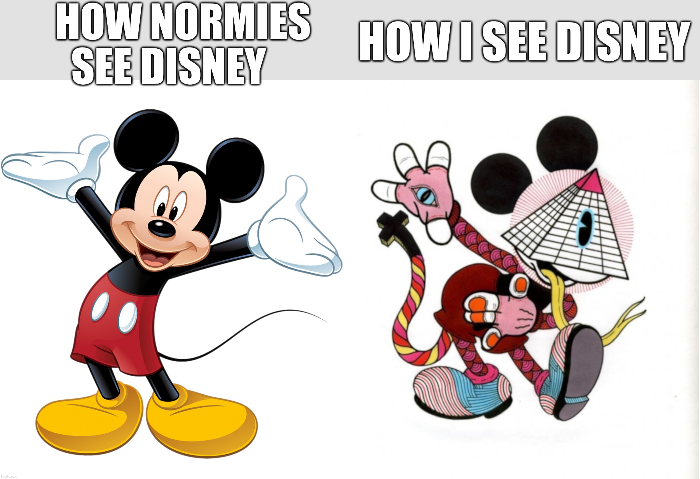 How normies see Disney vs How I see Disney | HOW NORMIES   SEE DISNEY; HOW I SEE DISNEY | image tagged in disney | made w/ Imgflip meme maker