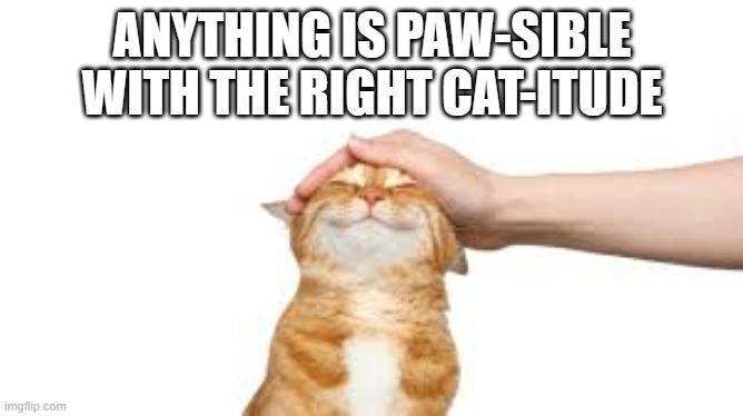 meme by brad anything is paw-sible cat meme | ANYTHING IS PAW-SIBLE WITH THE RIGHT CAT-ITUDE | image tagged in cat meme | made w/ Imgflip meme maker