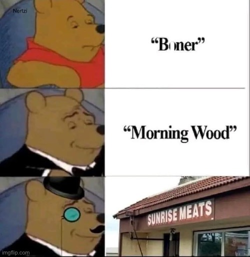 Morning Wood meme | image tagged in stolen meme,morning,erection | made w/ Imgflip meme maker