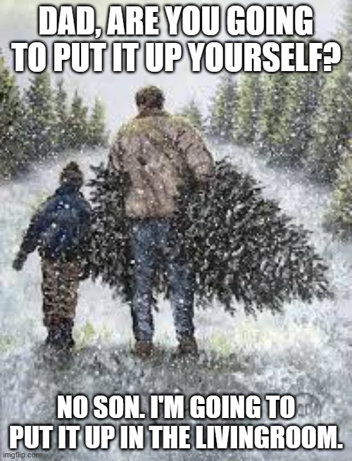 meme by Brad putting up the Christmas tree | DAD, ARE YOU GOING TO PUT IT UP YOURSELF? NO SON. I'M GOING TO PUT IT UP IN THE LIVINGROOM. | image tagged in christmas | made w/ Imgflip meme maker