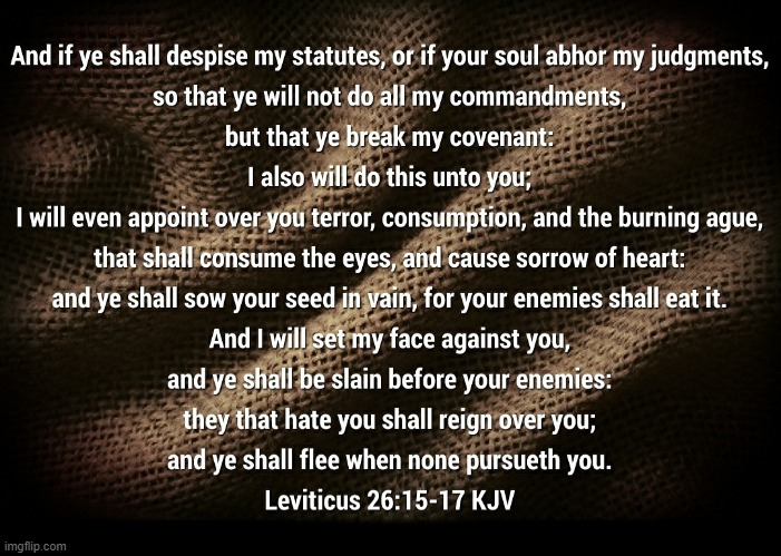 Leviticus 26:15-17 | image tagged in leviticus,leviticus 26,we are on trial | made w/ Imgflip meme maker