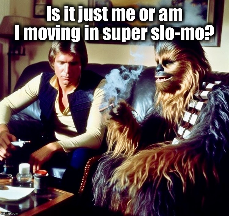 Cheehanch and Chewongca | Is it just me or am I moving in super slo-mo? | image tagged in han and chewie,high,memes,slow motion,stoned,cheech and chong | made w/ Imgflip meme maker